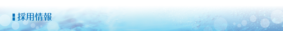 採用情報